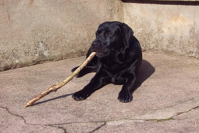 DCP_0505.JPG