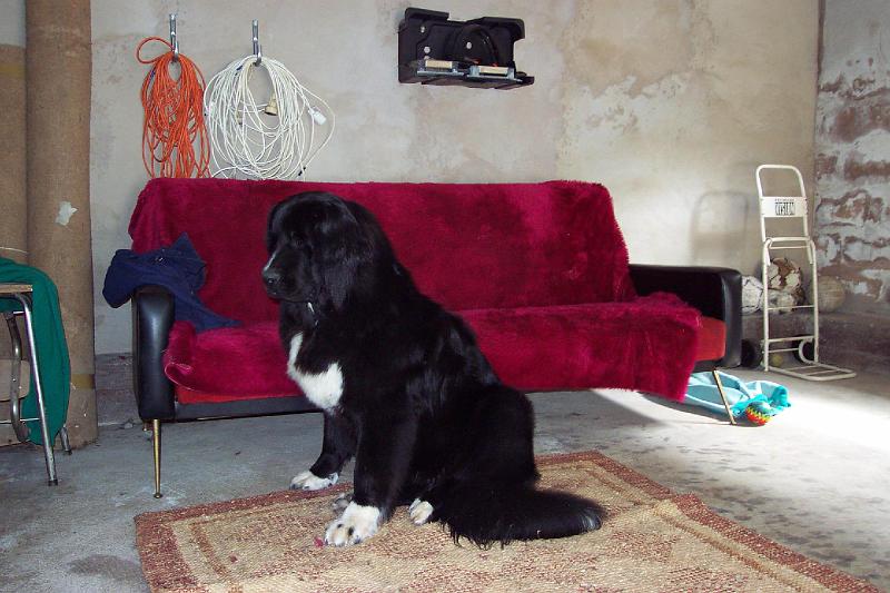 15-08-2003++13.jpg