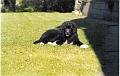 scan0009