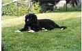 scan0011