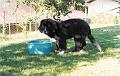 scan0023