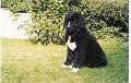 scan0031